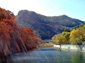 天然橡胶板，导热油电加热器